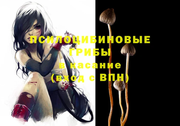 кокаин Краснослободск